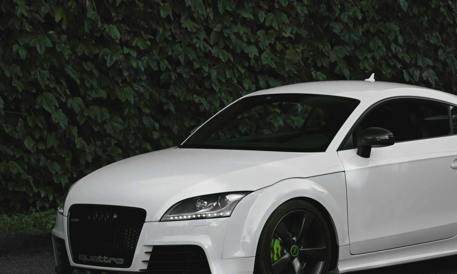 Taller Audi en Valdebebas 1 Taller Audi en Valdebebas: Audi TT blanco junto a un muro cubierto de vegetación